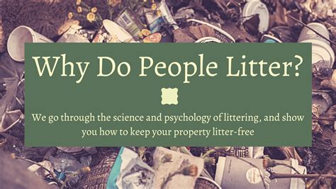 Why is littering bad. Things To Know About Why is littering bad. 